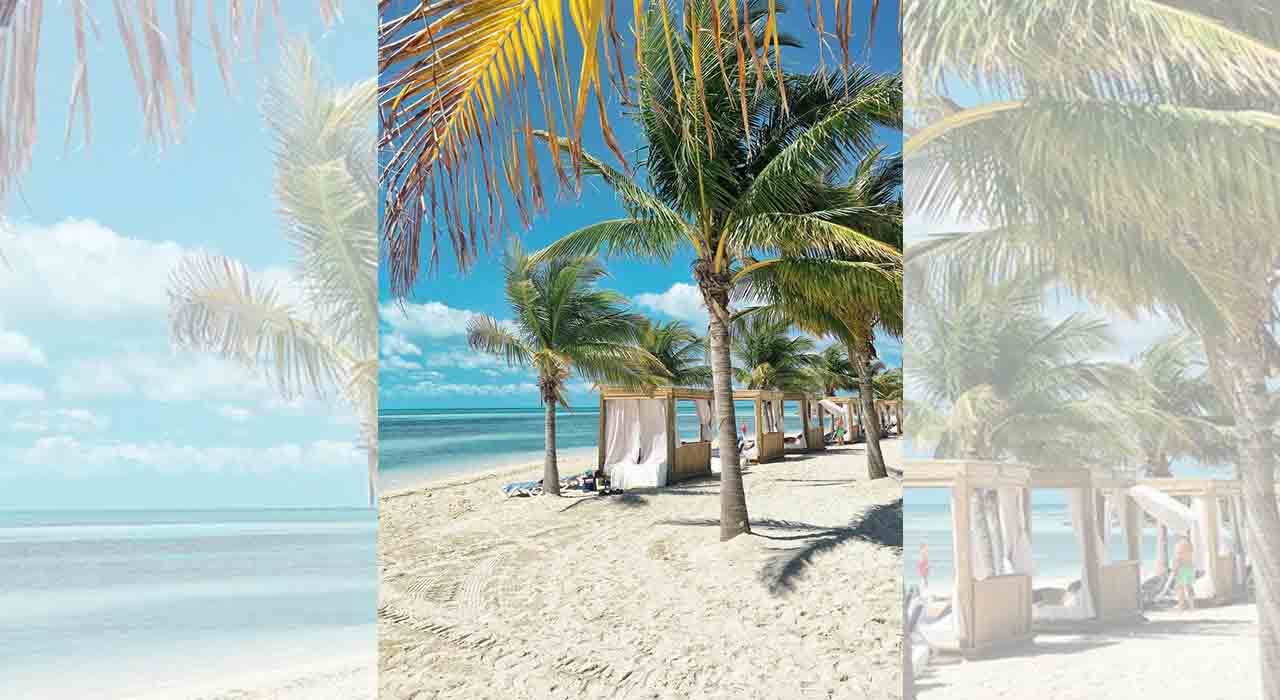 Zanzibar Otel